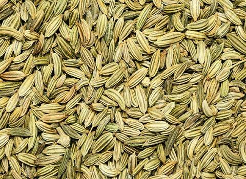 تصویر 1 از خرید گیاه دارویی رازیانه + قیمت ارزان